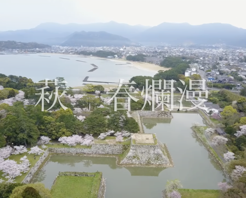 萩市 春爛漫