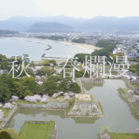 萩市 春爛漫